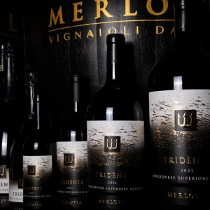 Wine tour and tasting Tridènte line