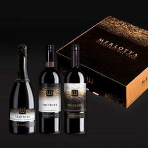 Astuccio linea Tridènte completa