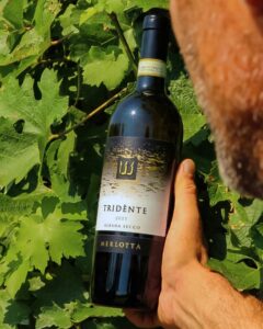 Tridènte Albana Secco 2023 di Merlotta premiato come Vino Ambasciatore dell'Eccellenza Enologica dell'Emilia-Romagna